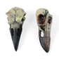 Gothic Raven Skull Pendant Necklace