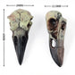 Gothic Raven Skull Pendant Necklace