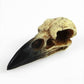 Gothic Raven Skull Pendant Necklace